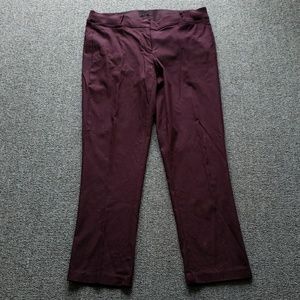 Lane Bryant Allie Straight Leg Size 18